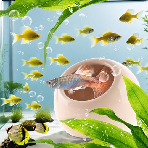 DQITJ Aquarium Decor Ceramic Cave Betta Fish Tank Hideout Stone Fast Landscape Ceramic Ornament for Fish Shrimp Turtle (Orange)