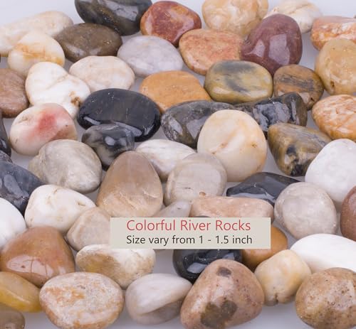 3.0 lb Mixed Color River Rock Stones 1~1.5", Natural Decorative Highly Polished Pebbles, Indoor Decorative Stones for Plant, Aquariums, Landscaping, Garden Flower Bed, Vase Fillers - size: 3.0 LB