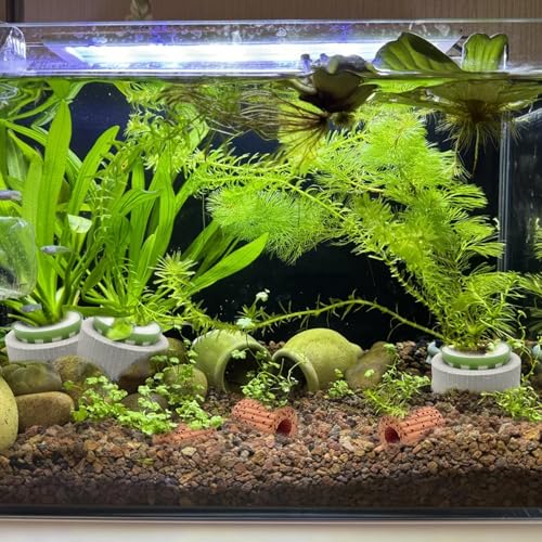 Rainmae 16 Pack New Upgrade Aquarium Plant Weights, Aquatic Water Plant Fixed Rings, Water Plants Cultivation Fixed Ring Plant Pot, Landscape Ceramic Pottery Gravity Ring for Fish Tank Accessories - color: 16 Pcs