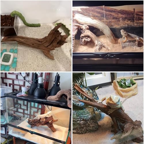 Hamiledyi Reptile Driftwood Branch Decor Terrarium Ornament Wood Climbing Natural Aquarium Driftwood Decoration for Snake Bearded Dragon Leapord Gecko Lizard Iguana