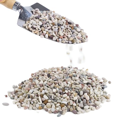 2.4lb Succulent and Cactus Gravel Pebbles, 1/5 Inch Mixed Color Natural Rocks for Fish Tank, Indoor Plants, Aquarium, Vases, Landscaping - color: AK Stones, size: 2.4lb