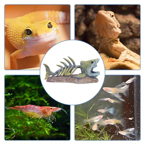 kathson Fish Tank Decorations Resin Shark Skeleton Aquarium Decor Reptile Tank Accessories Ornament Fish Bone Hideout for Shrimp Lizards Geckos Spiders - style: Shark Skeleton