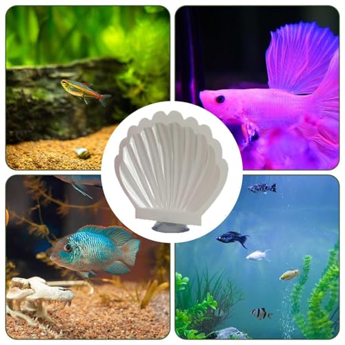 Aquarium Fish Hammock - Suction Cup Resting Bed Shell Decor, Safe Tank Perch, Habitat Enhancement Accessory | Betta Fish Hammock for Home Office Apartment Dorm - color: White