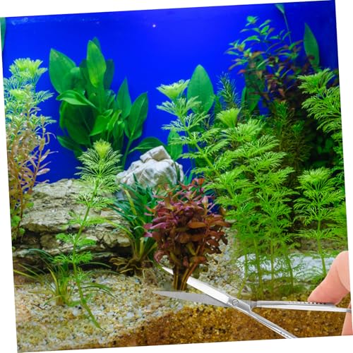 Toyvian Professional Spring Aquarium Scissors Stainless Steel Aqua-plant Trimming Tool for Aquascaping Portable Water Grass Clipper for Aquarium Maintenance