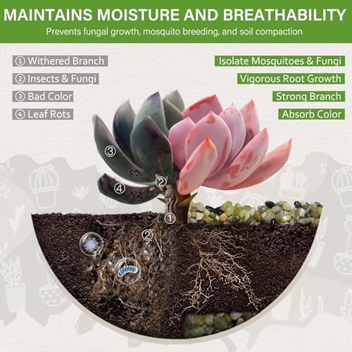 NUPICK 3 lbs Pebbles for Indoor Plants, 1/5 Inch Pea Gravel for Fish Tank, Polished Decorative Rocks for Succulent, Natural River Stones for Vases, Cactus, Landscaping, Bird Bath, Aquarium, Jade - color: Jade, size: 3 lb