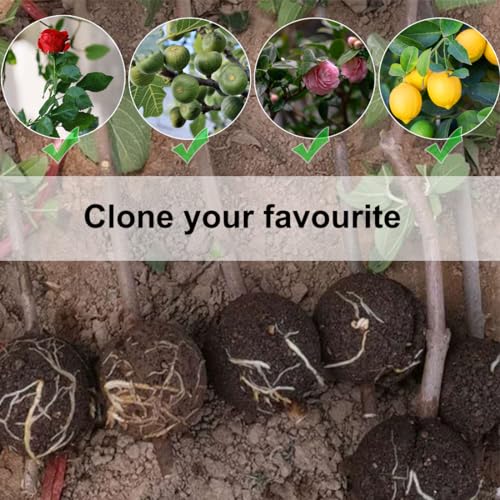 MIIIM 10 PCS Air Layering Propagation Kit with Zip Ties, Reusable Half Transparent Grafting Ball, Air Layering Pods Clear, Plant Rooting Grafting Box for Fast Propagation Plants (Medium) - size: Medium