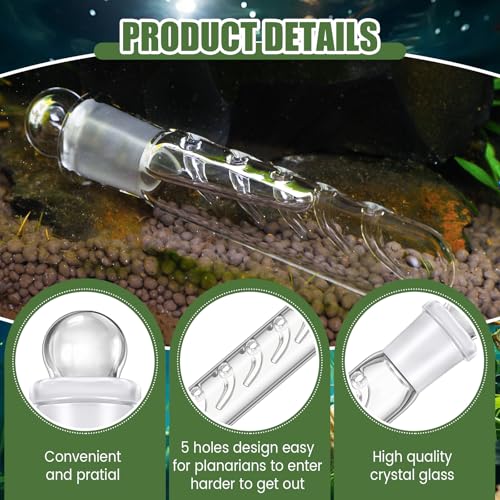 Qualirey 4 Pack Planaria Catch Trap for Aquarium Snail Leech Clear Glass Planaria Trap for Dwarf Shrimp Red Cherry Shrimp Tank(5 Holes) - style: 5 Holes