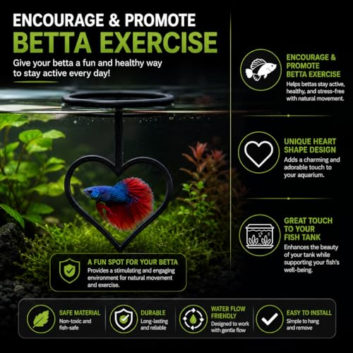 Floating Heart Betta Training Ring, Heart Active Betta Training Ring, Floating Feeder, Enrichment Toys for Aquarium Decor, Pink, 3.8in x 3.7in (Black, Single) - color: Black, size: Single