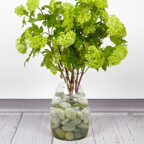 FANTIAN 20 lbs Jade River Rocks for Landscaping, 1-2 Inch Decorative Pebbles River Stones for Plants Indoor, Vases, Yard, Crafting and Garden - color: Jade, size: 20 lbs, 1-2 Inch