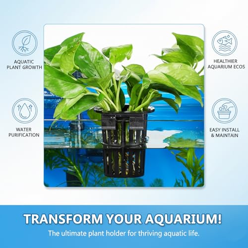 Aquarium Plant Holder, Fish Tank Plant Holder for Underwater Arrangements, Plant Holder for Fish Tank with Hooks and Suction Cups, Plastic Material for Aquatic Environments