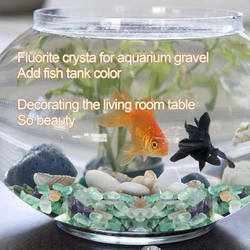 gemshan 2lb Fluorite Crystal Aquarium Gravel Natural Crushed Crystal Chip Bulk 7mm-9mm Irregular Gem Rocks for Home Decoration Fish Tank Colorful Gravel Filler Bottom Ornament - color: Fluorite