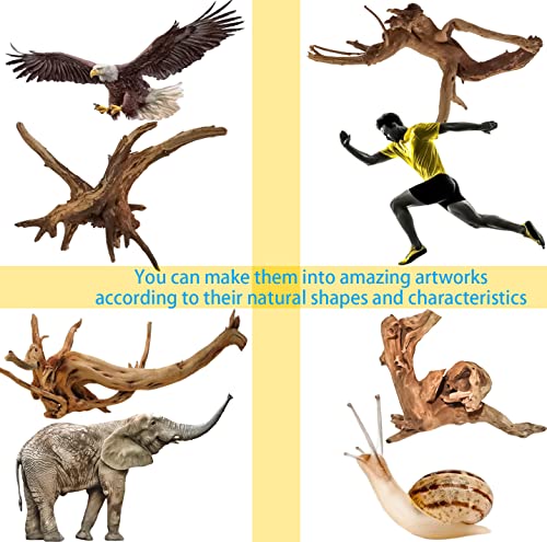 Vmiapxo 8 Pieces Natural Driftwood for Aquarium Decor, Assorted Sinkable Spider Wood, Reptile Drift Wood Branches Fish Tank Decorations (4''-6'') - size: 4"- 6"