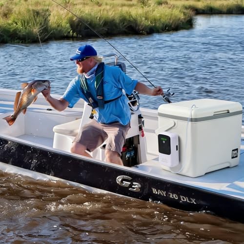 Live Bait Aerator Silent Dual Operating Mode Rechargeable Aerator for Fish, Large Capacity Aquarium Air Pump with Universal Clip for Most Bait Buckets - size: 4W 8000mAh(2 hoses)