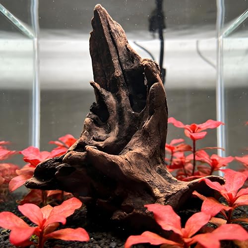 Natural Driftwood Tree Decoration for Aquarium, Fish Tank Plant Stump Ornament, Random Style(5-10cm)