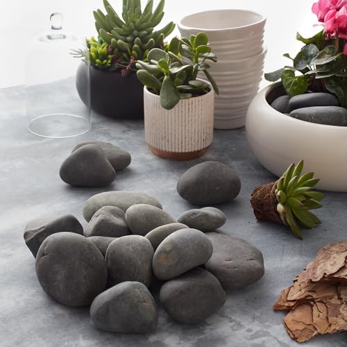 Flat River Rocks for Painting Vase Filler Aquarium Gravel Grey, Large 5 lbs - Landscaping Pebbles for Indoor Plants, Fish Tank Gravel, Terrarium & Home Decor, Painting, DIY & Crafting – Royal Imports - size: Large - 5 lbs, style: Grey