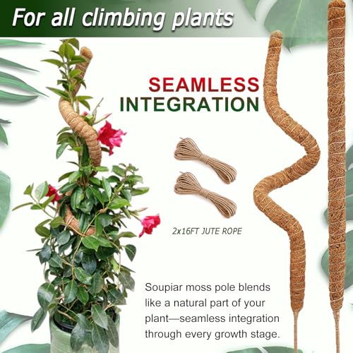 Soupiar 2 Pack 60'' Bendable Moss Pole for Monstera & Pothos - Tall Handmade Coco Coir Plant Support Stakes for Large Climbing Indoor Plants, Potted Houseplant Trellis Accessories - color: 2×60 Inch