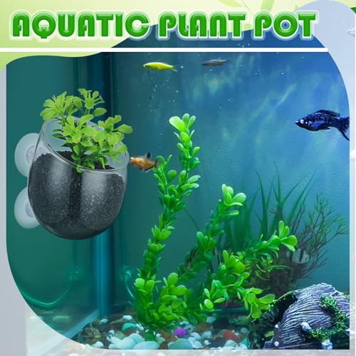 8 Pcs Aquarium Plant Holder Pot Clear Glass Aquatic Plant Cup with Suction Cups Aquarium Fish Tank Pots for Aquaponic Cultivation Water Feature Decoration