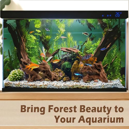 6PCS Natural Driftwood for Aquarium & Reptile Tank, 3–6 Inches Unique Wood Decor for Fish Tank, Turtles, Lizards, Snakes, Natural Driftwood for Home Decor