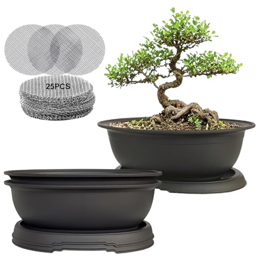 MUZHI 3 Pack Oval Bonsai Training Pot with Drainage Tray, Matte Finish Nursery Plastic Bonsai Planter with 25PCS 2inch Mesh pad (5.2" Small) - size: 5.2" Small