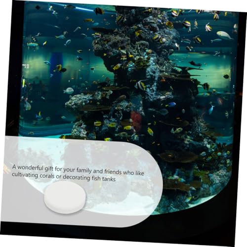 10pcs Fish Tank Coral Base Terrarium Cave Sand Stand Coral Breeding Bases Gasket Large Fish Tank Ornaments Gel Pad Coralline Serving Tray Round Conch Siphon Ceramics