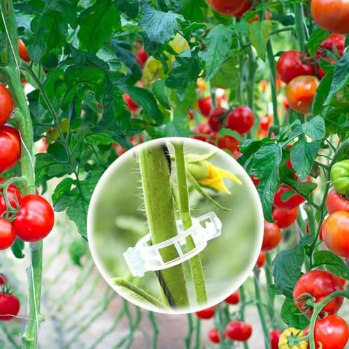 Plant Support Clips, Reusable Garden Clips Plant Holder Clips, Plastic Tomato Vine Grape Clips for String Trellis Plant Clips for Climbing Plants Support Outdoor Indoor Gardening Supplies (50, Black) - color: Black