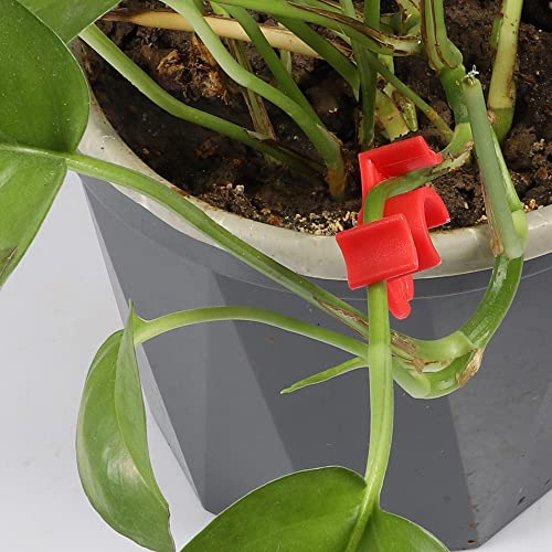 LucyPhy 90 Pack Plant Bender Angle Adjustable Plant Training Clips Low Stress Training Clips 90 Degrees Plant Stem(Circle Style,Red) - color: Red, size: 90Pack