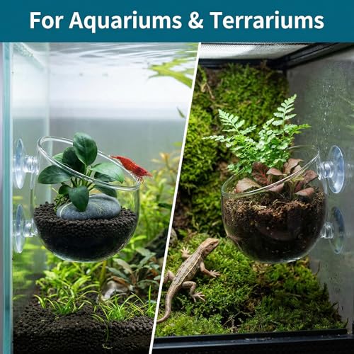 Hiceeden 6 Pcs Aquatic Plant Holder, Glass Aquarium Plant Pot with Suction Cup, Red Worm Cups Fish Feeder for Fish Tank Aquascape Decoration