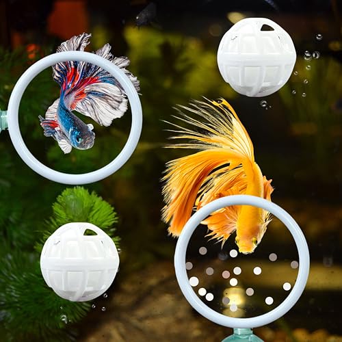 Betta Fish Exercise Ring and Filter Balls Set, Betta Ring Training Loop with Suction Cup and Nitrifying Ball, Betta Enrichment Toys, Aquarium Toys for Fish Turtle Tank Small Fish Tank (White, M-73mm) - color: White, size: M-73mm
