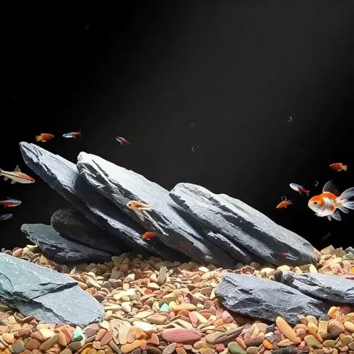 Slate Rock for Aquarium, 3-5 Inch Polished Natural Stone Rocks, Fish Tank Decor, Aquascaping Rocks, Safe for Aquariums, Terrariums, 5 lbs - color: 5 lbs, size: 3-5 Inch