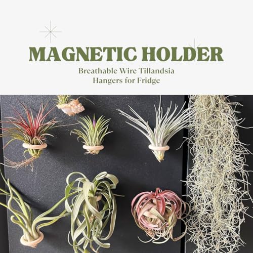 15-Pack Magnetic Air Plant Holders, Breathable Wire Tillandsia Hangers for Fridge & Metal Wall, Modern Miniature Plant Display Rings for DIY Fairy Gardens and Home Decor (2.2 Inch) - size: 2.2 Inch