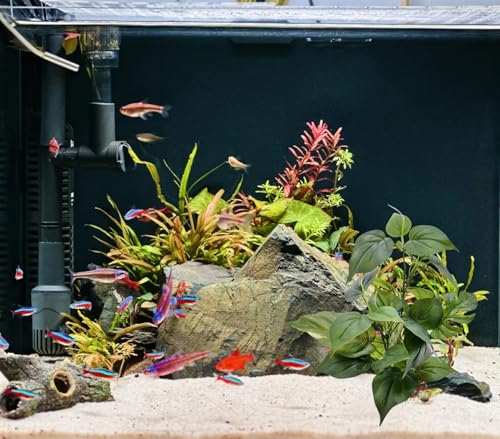 M2cbridge Fish Tank Plastic Soft Grass Artificial Betta Water Plants Decoration Goldfish Hide 12" (Tall Anubias 2pcs) - color: Tall Anubias