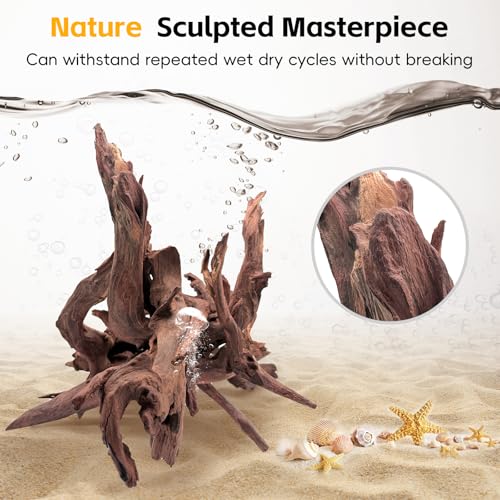 EFFIELER Natural Driftwood for Aquarium Decor – 6-10 INCH Unique Size Real Wood Branches for Fish Tank, Reptile Habitat, Terrarium, Hermit Crab, Shrimp Tank,Safe for Aquatic Pets - size: 6-10 INCH