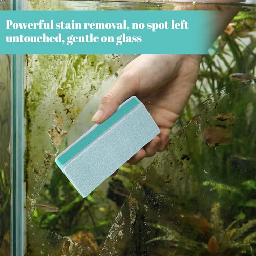 3Pcs Fish Tank Cleaning Tools, Double Sided Aquarium Sponge Brush, Non-Scratch Algae Scrubber, Glass Cleaner for Fish, Turtle Tanks, Safe Surface Buildup Remover for Glass, Acrylic (3.42"x1.49"x0.47")