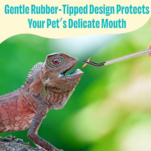 3 Pcs Stainless Steel Reptile Feeding Tool Set with 2 Rubber Tipped Tongs and 1 Crested Gecko Feeding Spoon, Crested Gecko Tank Accessories for Geckos, Lizards, Bearded Dragons, and Small Animals