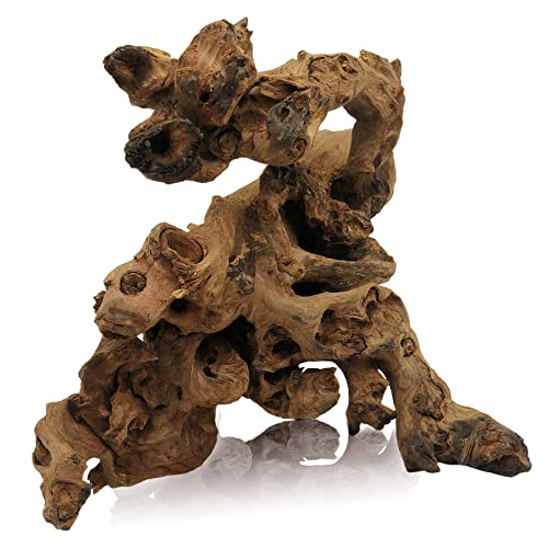 Tfwadmx Natural Driftwood for Aquarium Decor-9-14 Assorted Large Driftwood,Fish Tank Drift Wood Decoration, Freshwater Wood Branches Ornament for Reptile Terrarium,Air Plants - size: X-Large: 11-17"（1Pcs）