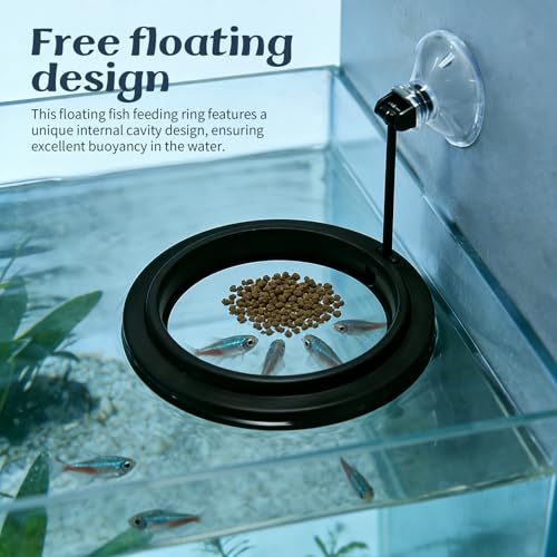 4Pcs Betta Fish Tank Accessories, Betta Hammock, 2 Betta Fish Toys, 1 Betta Feeding Ring Provide a Comfortable Environment for Rest and Activities at Betta.
