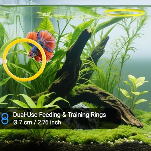 Betta Fish Toy Set: Betta Training Floating Mirror, Training/Feeding Ring, Spoon, and Resting Leaf. Promotes Exercise. Betta Toys, Resting & Feeding Kit. - color: Yellow