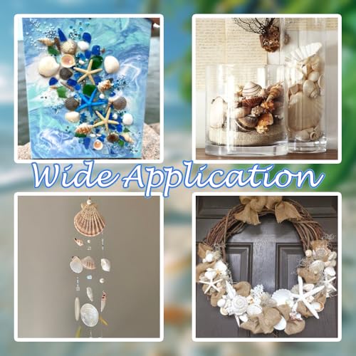 Natural Sea Shells Mixed -15 Kinds of Natural Seashells,Each 2 Kinds Starfish & Urchins for Aquarium Fish Tank,DIY Arts Crafts Project,Beach Theme Home Wedding Party Decor,Vase Fillers,1~3.5" - color: Mixed Color