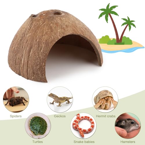 Hypeety Natural Coconut Reptile Habitat Hideout for Reptile, Lizard, Spider, Snake, Aquarium, Fish Hide Cave Hermit Crabs, Hamsters Natural Coco Hut Organic Non-Toxic Aquarium Decoration