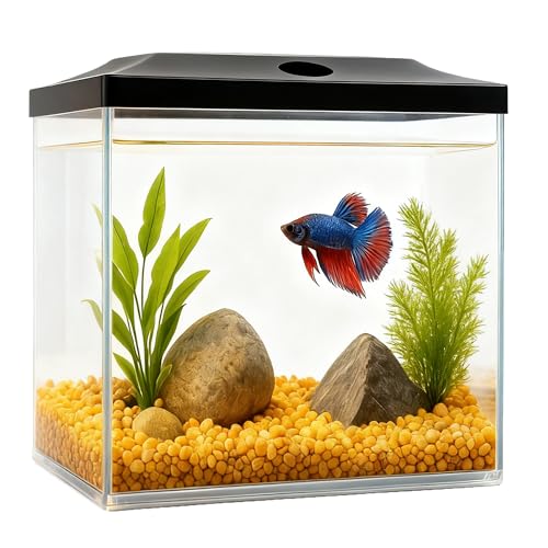 0.8-Gallon Cube Small Fish Tank, Shatterproof Plastic Fish Tank with LED Lighting, Temporary Fish Bowl for Fry, Isolation, Education & Decoration