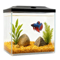 0.8-Gallon Cube Small Fish Tank, Shatterproof Plastic Fish Tank with LED Lighting, Temporary Fish Bowl for Fry, Isolation, Education & Decoration