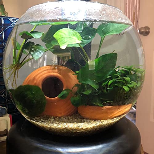 Saim Ceramic Jar Aquarium Decorations, Cute Little Cichlid Cave, Breeding Cones Cave Fish Tank Ornaments for Betta Fish Amano Shrimp Cichlid Bonsai to Play, Hide and Rest, Yellow