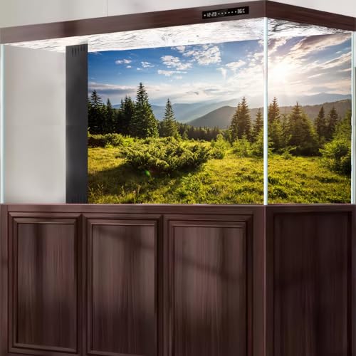 Mountain Valley Aquarium Background Idyllic Panorama Misty Mountains Fish Tank Background Seasonal Tranquil Spruce Forest Pine Trees Terrarium Backgrounds Green Meadow Reptile Tank Backgrounds 24x12in - color: Light Green, size: 24(W)x12(H)in