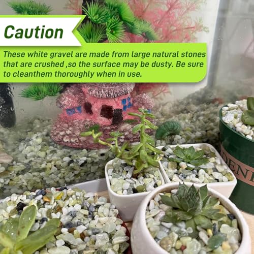45lb Jade Bean Stone,1/4 Inch Bonsai DIY Rocks, Natural Succulent Rock and River Rocks Decorative for Aquariums, Vases, Terrarium, Outdoor Gardening, Top Dressing for Potted Plants - color: Light Green, size: 45 lb(new)