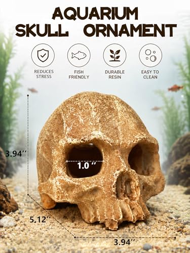 Aquarium Decor - Small Skull Hiding Cave for Fish Tank, Aquarium Hideout Ornament with Skull Texture for Betta, Guppy, Shrimp, Spider - Aquatic Hide Decoration, Fish Hiding House（White） - color: Hollow Skull Décor - White