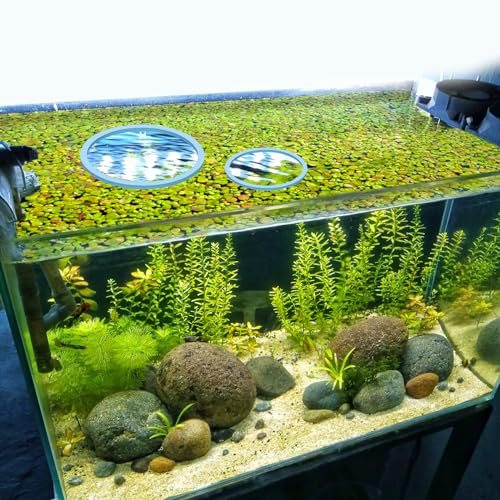PEUTIER 5pcs Aquarium Floating Plant Rings, Foam Round Fish Feeding Rings 5 Size Floating Plant Corral Fish Tank Food Ring Keep Floating Plants in Place (Blue)