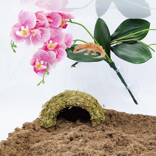 2 Pcs Artificial Phalaenopsis Orchid with Suction Cups - Pink & Red Reptile Terrarium Plant Decor, Lifelike Plastic Hanging Vine for Aquarium Snake Gecko Hermit Crab Habitat Decoration