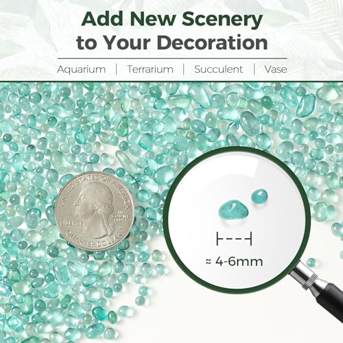 T4U Fish Tank Gravel 2 LB, Tumbled Small Rocks for Aquarium, Glass Beads for Vases, Succulent Rocks for Plants, Aquarium Gravel Decorative Pebbles for Terrarium Crafts Vase Filler, Green - color: Green, size: 2 LB
