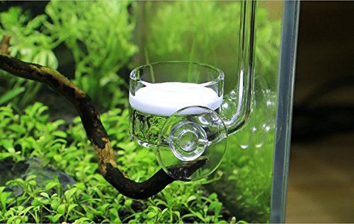 CO2 Diffuser Glass Reactor with U Shape Connecting Tube for Pollen Aquarium Plants Tank(CO2 Diffuser-Large Flat-Bottomed) - color: CO2 Diffuser-Large Flat-Bottomed