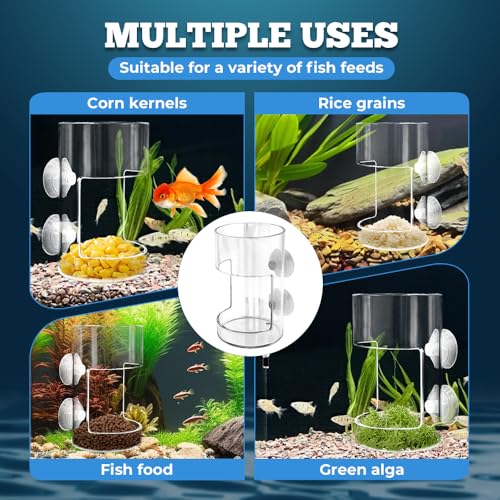 No Mess Aquarium Feeder, 2026 New Acrylic Clear Fish Tank Feeder with Suction Cup, Preventing Food Scattering (Round+Square) - color: Round+Square
